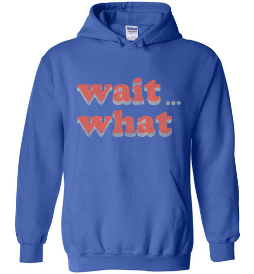 wait what. Youth. Hoodie