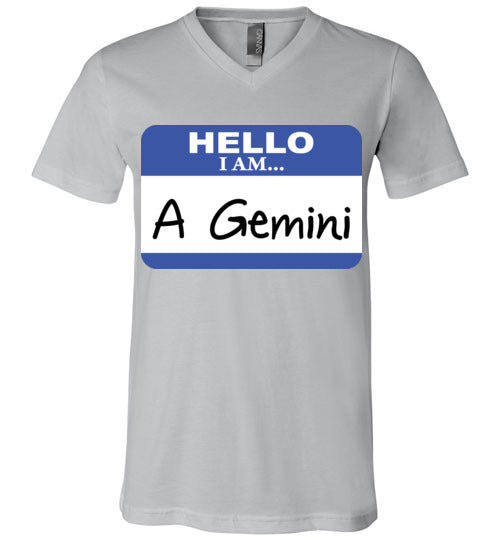 A Gemini. Adult. Unisex Vneck