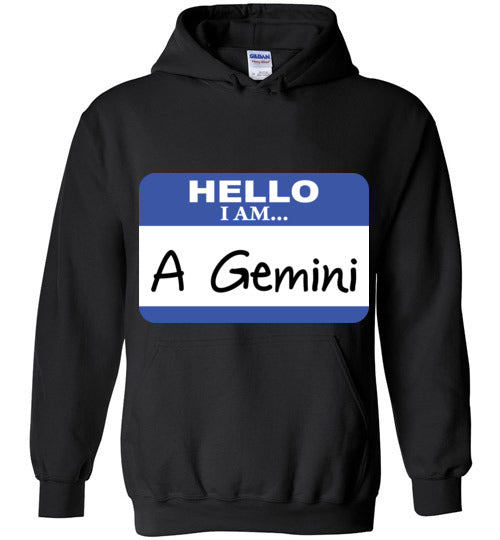 A Gemini. Adult. Hoodie