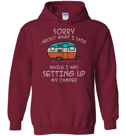 Sorry About What I said. Adult. Hoodie