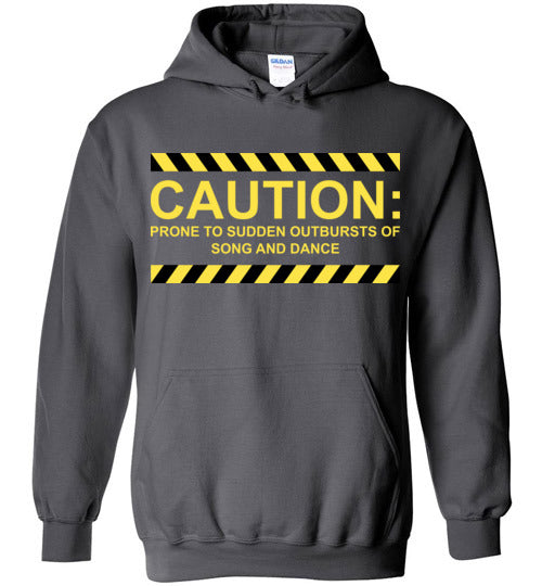 Caution, Song and Dance. Youth. Hoodie