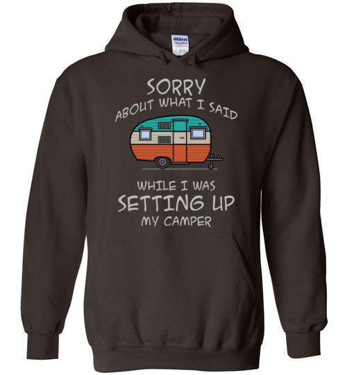 Sorry About What I said. Adult. Hoodie
