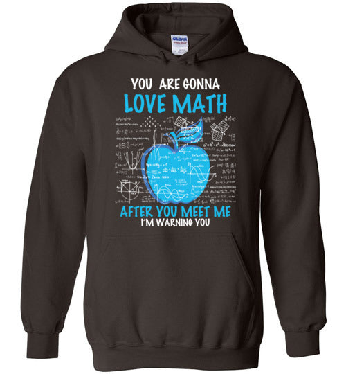 Love Math. Hoodie