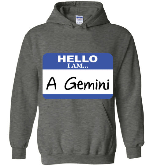 A Gemini. Adult. Hoodie