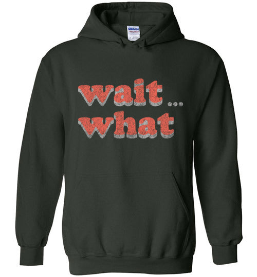 wait what. Youth. Hoodie
