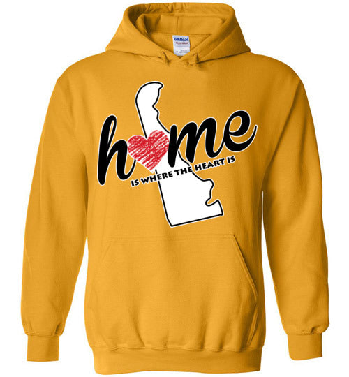 Delaware Home. Youth. Hoodie