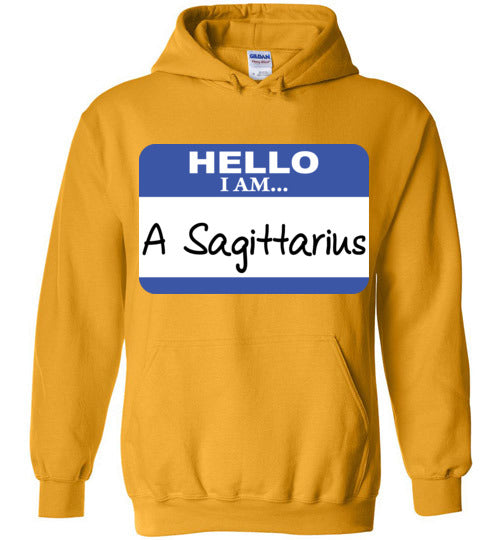 A Sagittarius. Adult. Hoodie