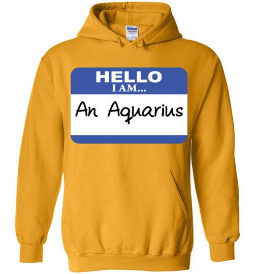 An Aquarius. Adult. Hoodie