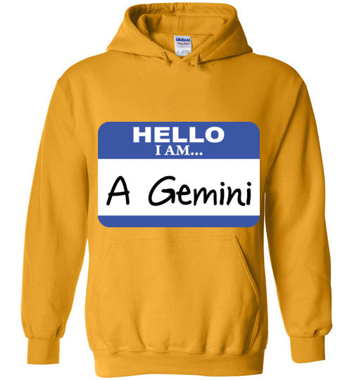 A Gemini. Adult. Hoodie