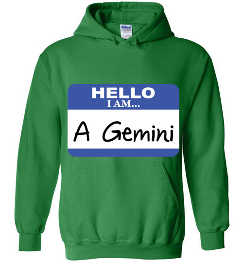 A Gemini. Adult. Hoodie