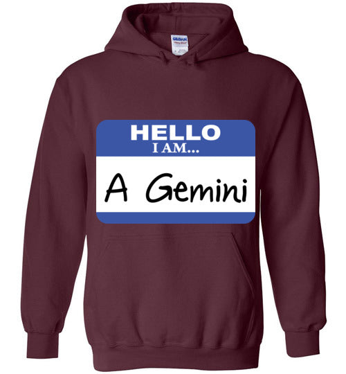 A Gemini. Adult. Hoodie