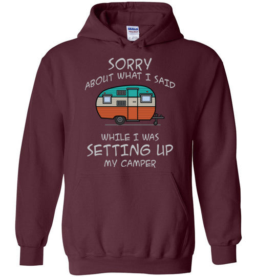 Sorry About What I said. Adult. Hoodie