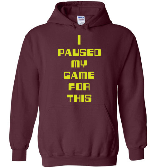 I Paused My Game. Youth. Hoodie