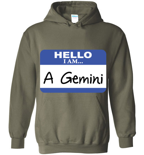A Gemini. Adult. Hoodie