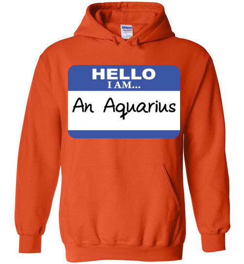 An Aquarius. Adult. Hoodie