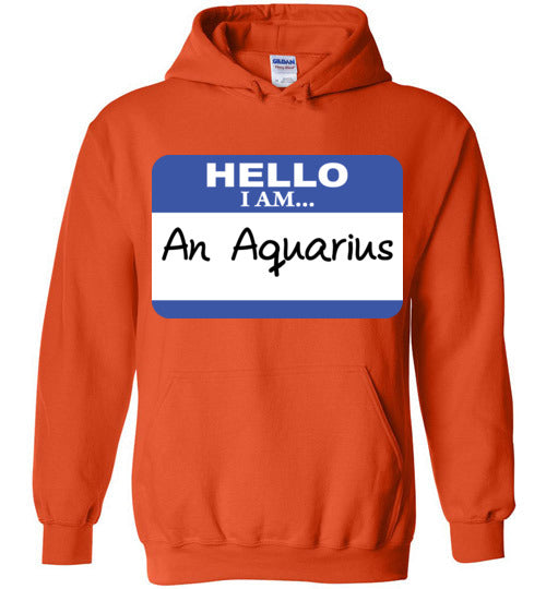An Aquarius. Youth. Hoodie