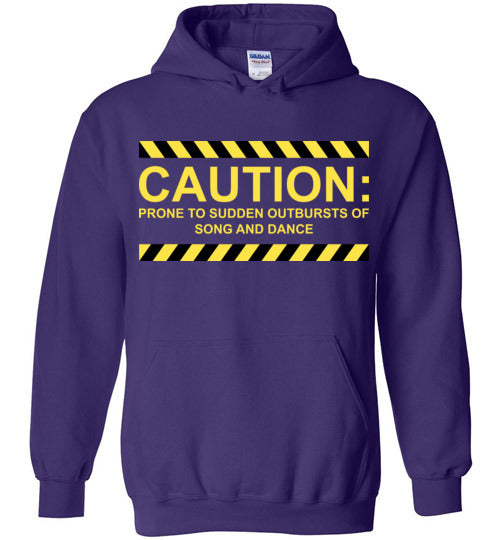 Caution, Song and Dance. Youth. Hoodie