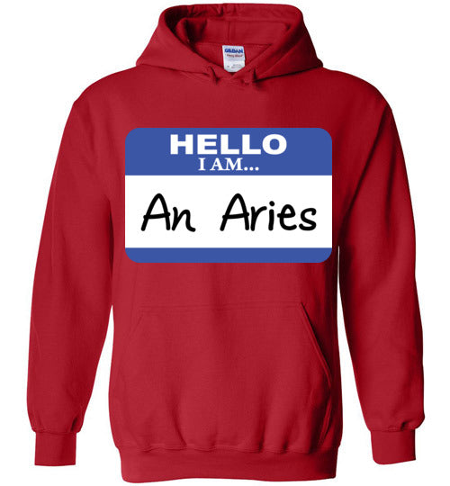 An Aries. Youth. Hoodie