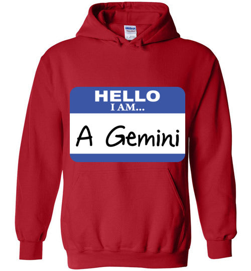 A Gemini. Adult. Hoodie