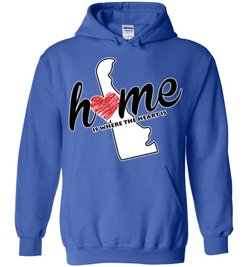 Delaware Home. Youth. Hoodie