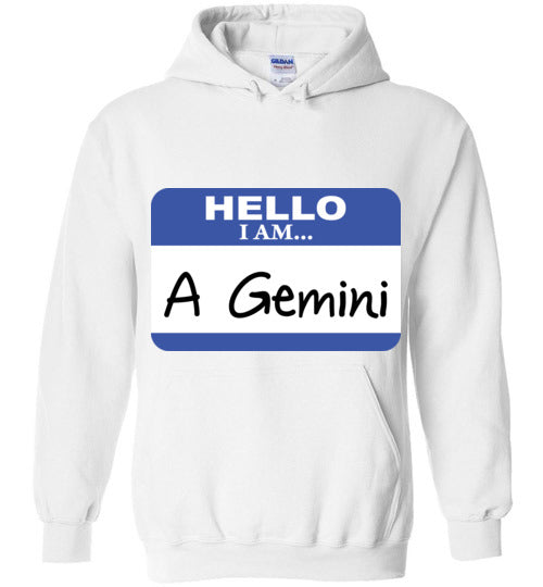 A Gemini. Adult. Hoodie