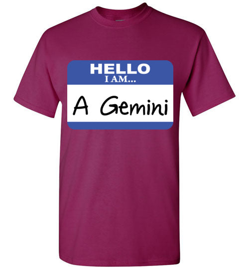 A Gemini. Adult. SS Tshirt