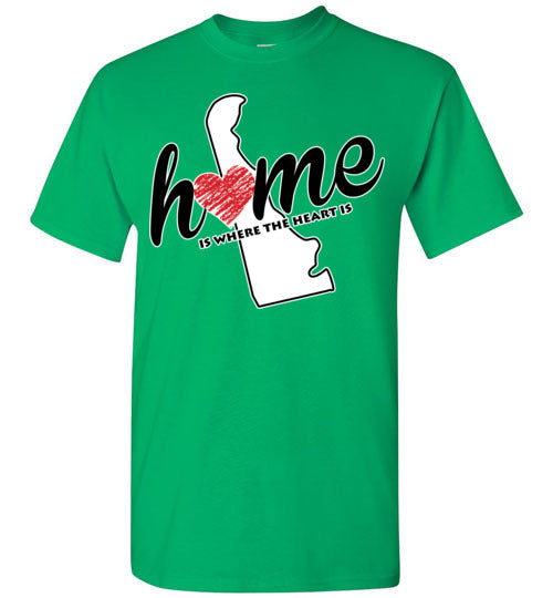 Delaware Home. Youth. SS Tshirt