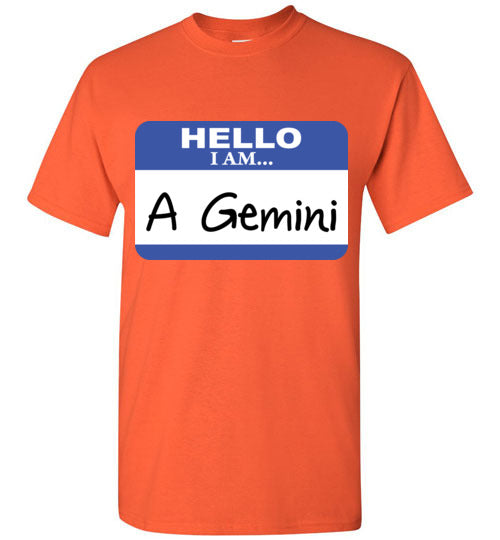 A Gemini. Adult. SS Tshirt