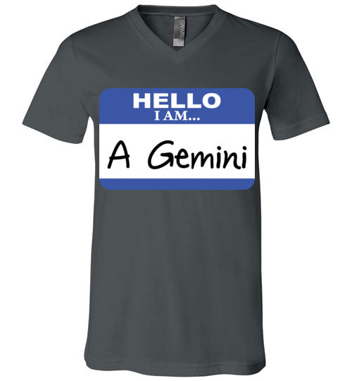 A Gemini. Adult. Unisex Vneck