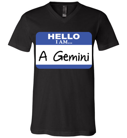 A Gemini. Adult. Unisex Vneck