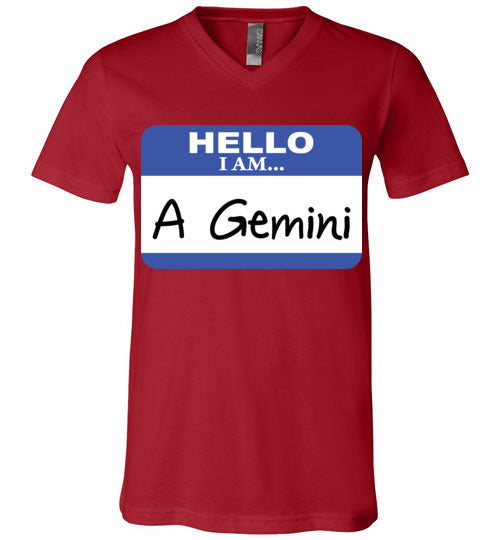 A Gemini. Adult. Unisex Vneck