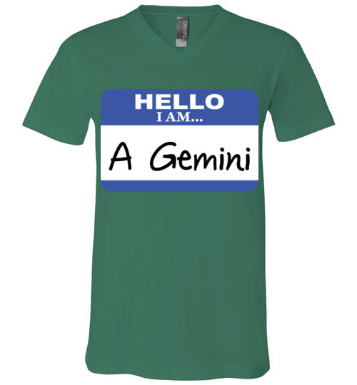 A Gemini. Adult. Unisex Vneck