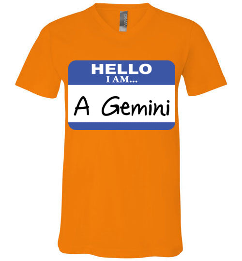 A Gemini. Adult. Unisex Vneck