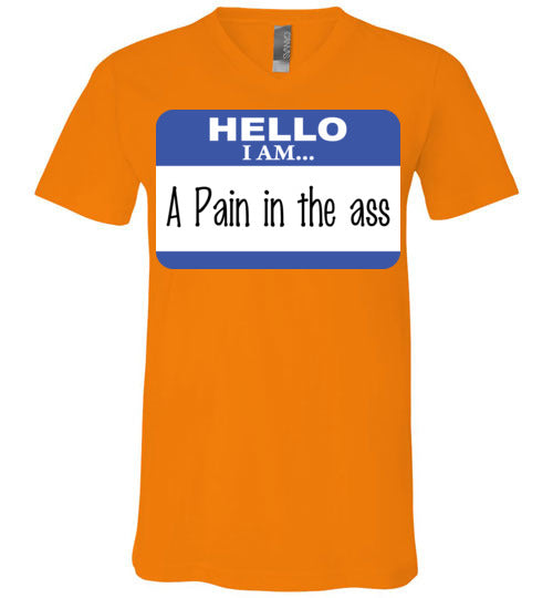 A Pain in the Ass. Adult. Unisex Vneck