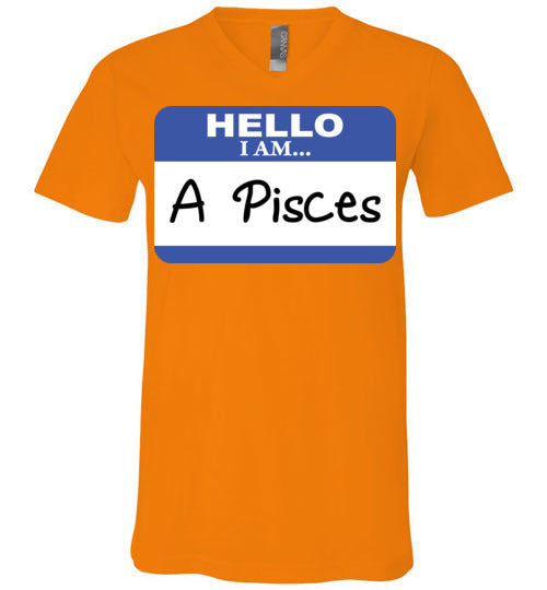 A Pisces. Adult. Unisex Vneck