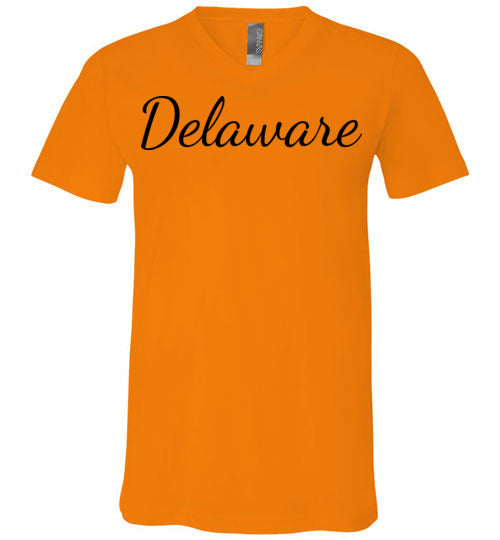 Delaware. Adult. Unisex Vneck