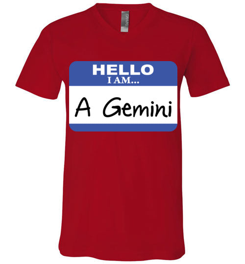 A Gemini. Adult. Unisex Vneck