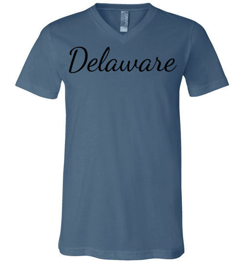 Delaware. Adult. Unisex Vneck