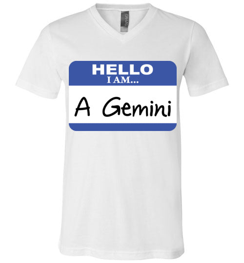 A Gemini. Adult. Unisex Vneck
