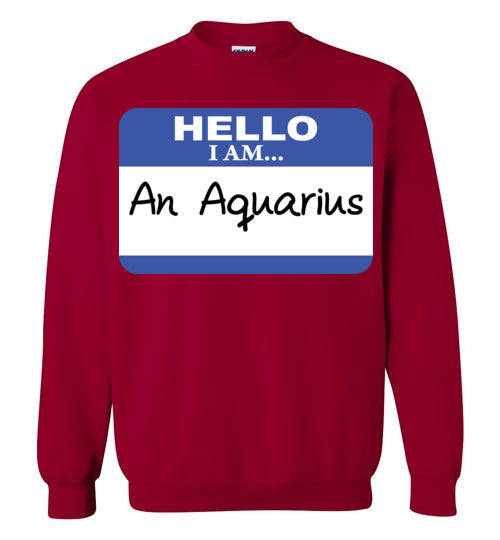 An Aquarius. Adult. Crewneck Sweatshirt