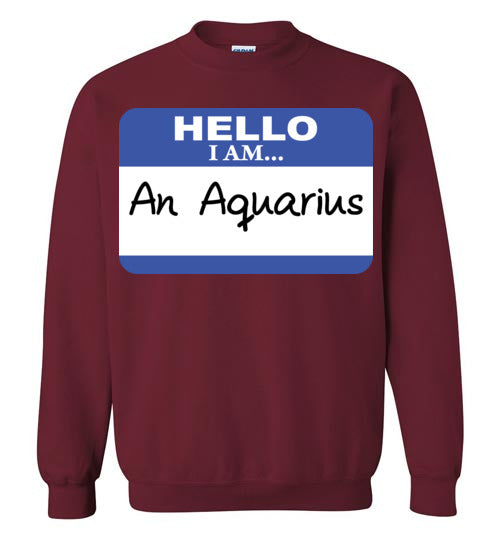 An Aquarius. Adult. Crewneck Sweatshirt