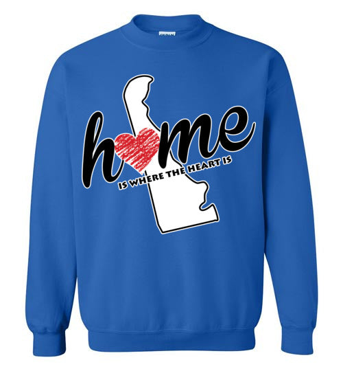 Delaware Home. Youth. Crewneck